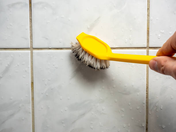 Best Same-Day Mold Removal  in North Yelm, WA