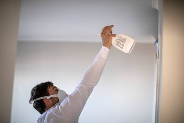 Mold Removal Process in North Yelm, WA