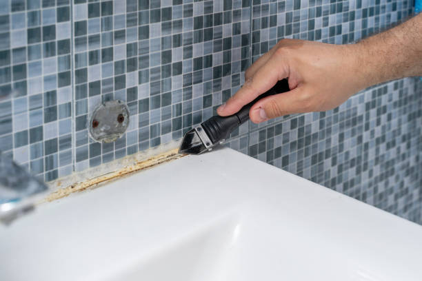Best Mold Remediation  in North Yelm, WA