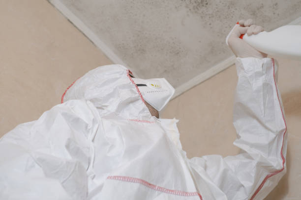 Best Fast Mold Removal  in North Yelm, WA