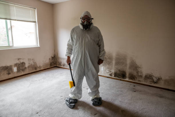Best Office Mold Removal Services  in North Yelm, WA